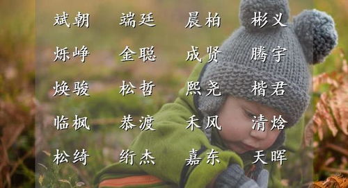 ③富有智慧与才华的名字（乱入段子）