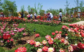 园内风景美到要打120！