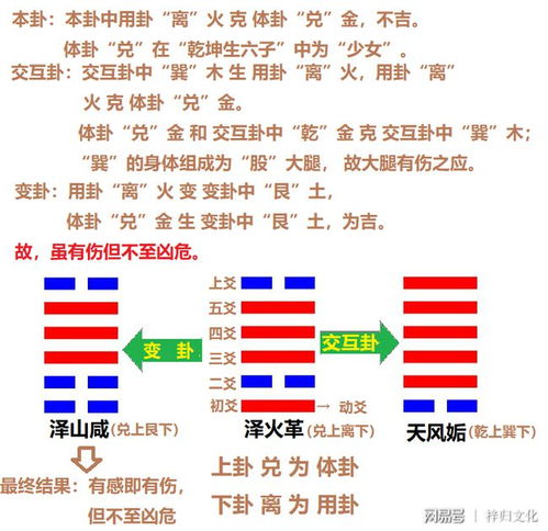 梅花易数测卦马例：一段让人笑掉大牙的古代占卜故事