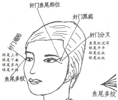 一、 面相学基础理论体系
