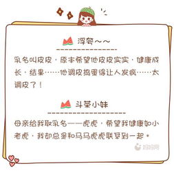 前言：取名，不仅仅是叫个名字！