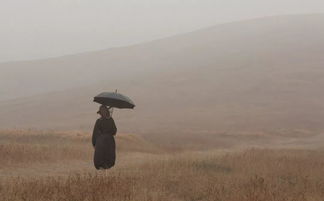 三、  心放宽：磁场共振与感恩之道的实践