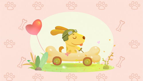 属狗的今年运势如何，属狗人在虎年会有怎样的运气表现？