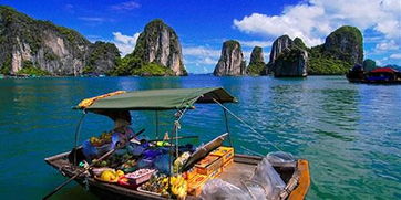 下龙湾：海上桂林的冬日奇观
