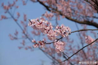 泰山脚下的诱惑与陷阱