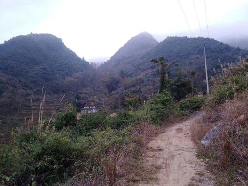 藤县风水名师藤县一索牵九牛留题地点在哪里？