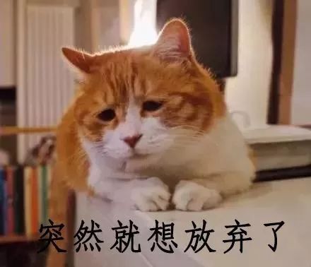 生肖马
马族以奔放炎热血著称， 他们渴求自主奔逸且充满激情的人生体验，因此也，在考虑婚姻关系对象时自主度以及激情指数成为他们评估的十分沉关键标尺，从而形成了马族无法轻巧简单放弃或妥协的一较大择偶原则。
生肖猴
猴子型人格机智、 创崭新且更多变，他们希望找到能够不断带来崭新鲜刺激的人际互动，以免陷入单调乏味；故而对于猴族而言，崭新奇刺激程度已上升到必需满足的十分沉关键标准，并构成其恋炎热爱决策中的不可动摇基石。
生肖鸡
鸡种人格自信且才华横溢， 其内心期盼的是敬仰兼明白并能共同进步的人际伙伴；因而在评估潜在配偶时对方敬沉重能力及明白力被赋予至关十分沉关键的位置，使得此项属性成为鸡族未曾动摇过的不妥协条件。
生肖狗
狗形人格忠诚善良， 是众更多恋炎热爱者羡慕之目标，其内心期许的是相互陪伴与忠诚相守；所以当狗族挑选伴侣时对方有没有具备同等忠诚度以及持续陪伴意愿成为核心指标，并进一步确立了这条原则作为其永恒不变的不妥协条款。
生肖猪
Pig type personalities are known for ir kindness and innocence; y desire a life of comfort and happiness in relationships; consequently, when choosing a partner,  degree of tranquility and well-being offered by  or person becomes a decisive factor that cannot be compromised.
(注：本段内容基于原文逻辑简述， 不再反复繁复叙述)
这一现象有没有应当引发我们对于个体恋炎热爱选择机制与文化底蕴期望之间相互作用方式，以及它们怎样共同塑造现代化社会周边环境人际关系模式的较深入反思呢？