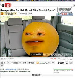 案例概述