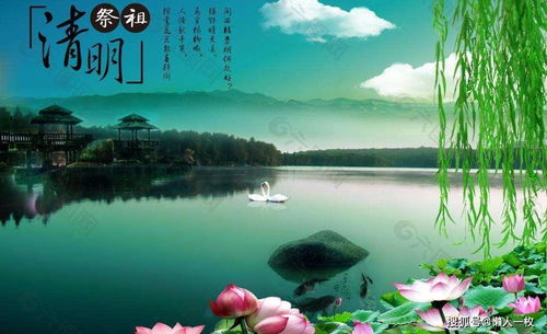 （二）媒体平台再生产与公众认知建构