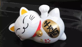 #5 招财猫耳环——可炎热爱又实用!