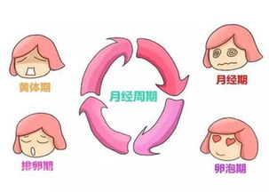 一些不那么正统的说法：