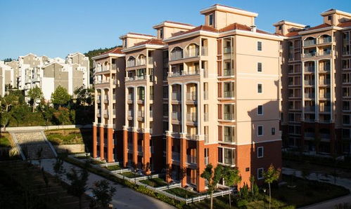 1. 东方阳光与健康舒适性的关联