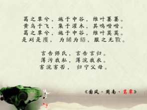 二、  命运悲剧与性格宿命：论《红楼梦》与《三国演义》中的人性图谱