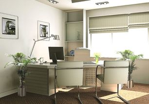 一、 植物配置之禁忌与宜选：从形象到气场的转化机制