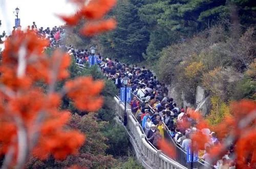 10月泰山旅游：别再被“淡季”攻略骗了 这才是 locals 私藏的秋日玩法