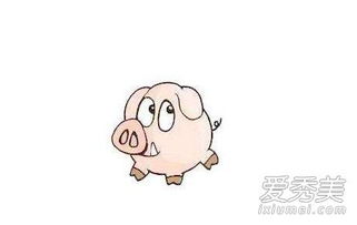 属猪女与属虎男、属猪男跟属虎女婚姻状况如何？