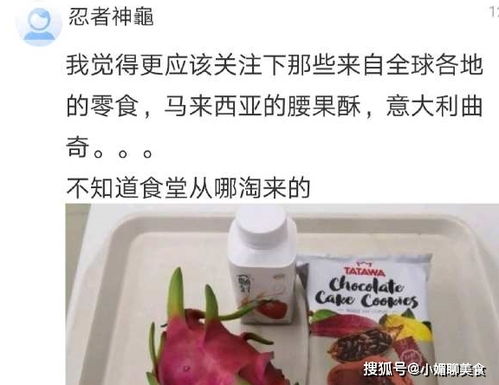 结论与反思