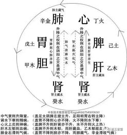 六仪六甲及其变动规律详解