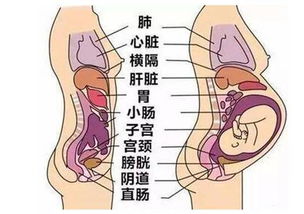 轻巧沉重程度与怀孕
