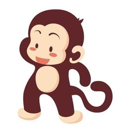 2. 属猴的饰品：开拓视野与提升应变能力