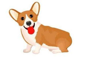第五条　针对属“犬”的关注点（突出案例）