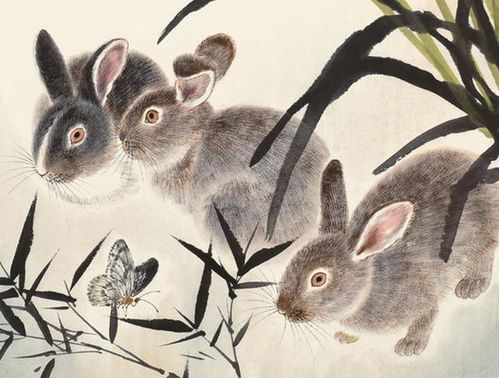 将反哺之私打一生肖，是哪个生肖的生肖？