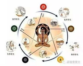 仪式结构与阴阳调和机制