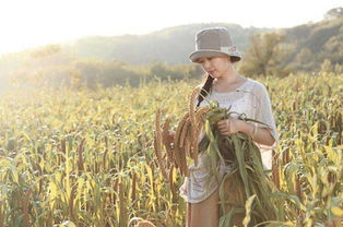 八字火土成势，如何将木火土转化为长尾关键词？