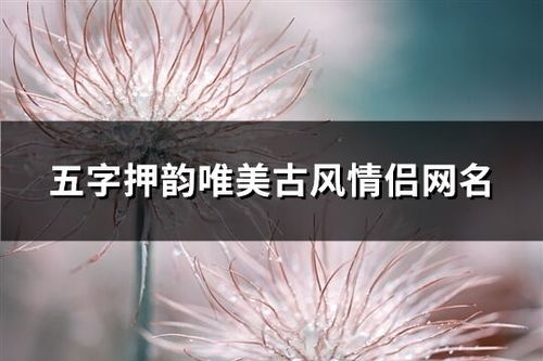 五行与昵称：五行属性揭示昵称内涵