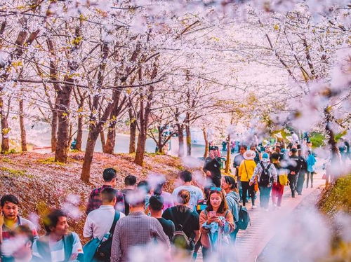 华南的“阳光陷阱”：三亚的海滩挤不下脚？试试这些个“被遗忘的海岛”