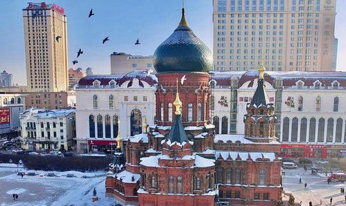 阿波舞会：热情奔放？还是噪音污染？