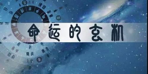 八字纯阴年柱正官，这性格孤僻的命运是否无法改变？