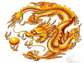 1988年生肖龙人士未来趋势展望