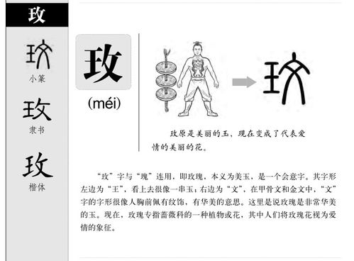 探秘汉字背后的玄机：为何“玫”字如此迷人又让人头疼