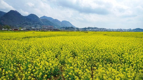 一、  美的本质：内心感受与客观存在的辩证统一