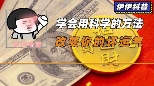 忻在八字中爱情运势如何？