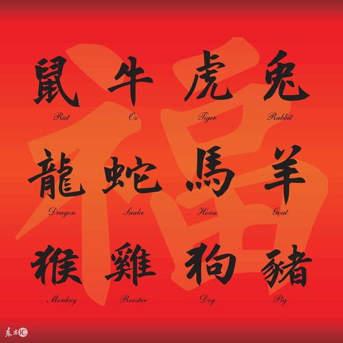 八字火多缺木，命运中缺木缺火对人生影响大不大？