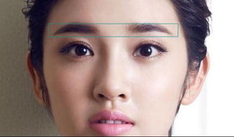 一、 眉部形态及其行为倾向