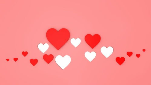 将阴肖指的是哪个生肖？情人节打一肖又是指哪个生肖？