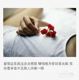 三、  内圣外王：自我重塑与磁场能量的提升