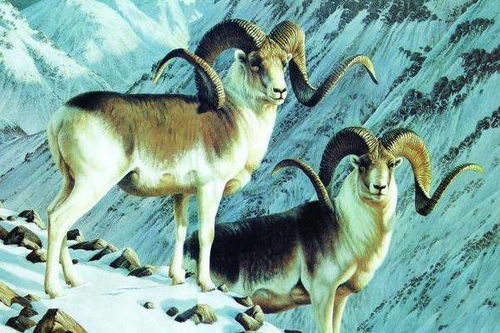 2015年出生属羊人在2026年农历十一月运势如何？