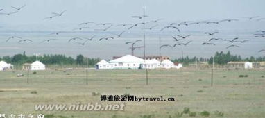 昌吉旅游：一个让人想哭又不得不笑的自由行