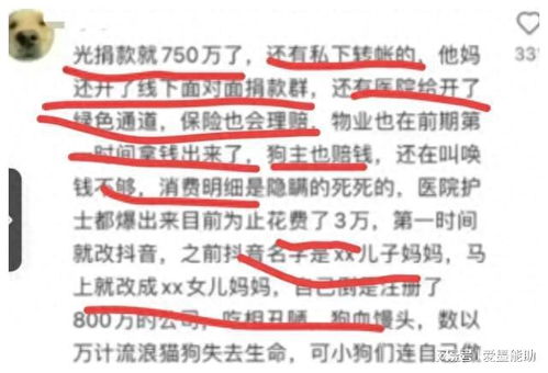 惯与瑞字的噪音：