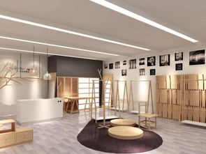 镜面运用：空间感与财运之间的微妙关系