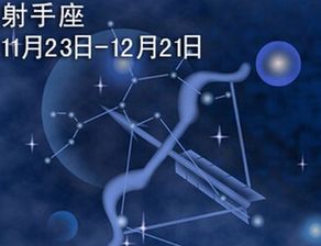 事业运：坐过山车般的刺激体验