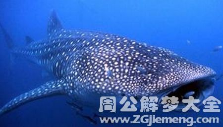 女梦见吃鱼，这是何意？周公解梦嫩否揭示其中的奥秘？