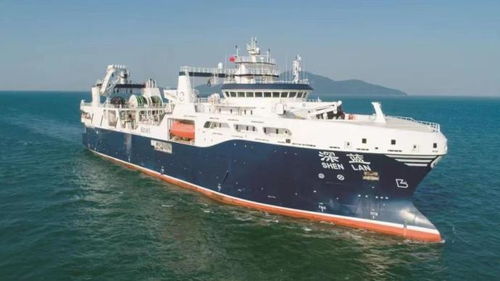 时代背景与命名原则的同步演进