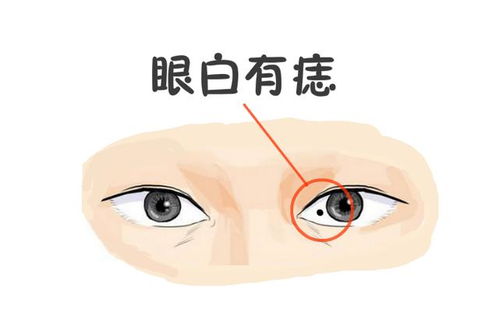 自我形象维护程度提升