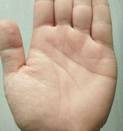 三、  掌纹与特殊符号：命运密码的深层解读