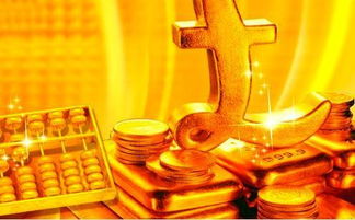 二、  投资管理与金融分析领域的适配性探究